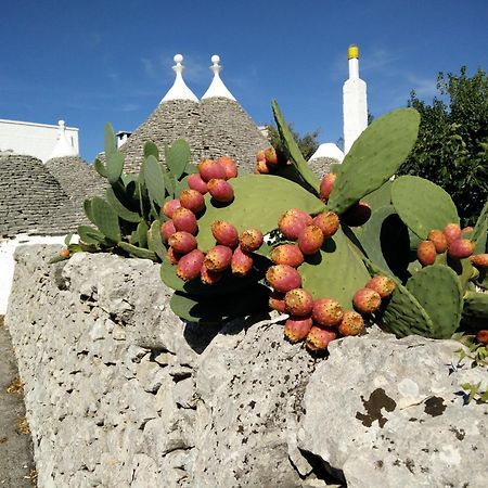 Bed & Breakfast La Collinetta Locorotondo Eksteriør bilde