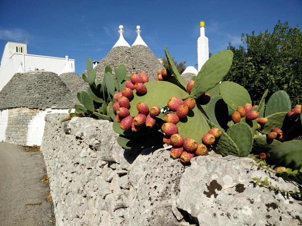 Bed & Breakfast La Collinetta Locorotondo Eksteriør bilde